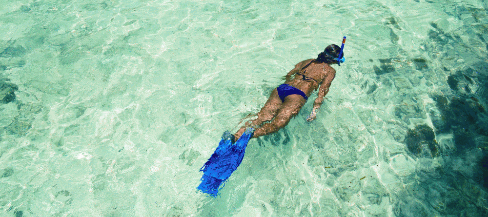 Snorkeling off the beach at New Emerald Cove, Praslin, Seychelles - Image 17