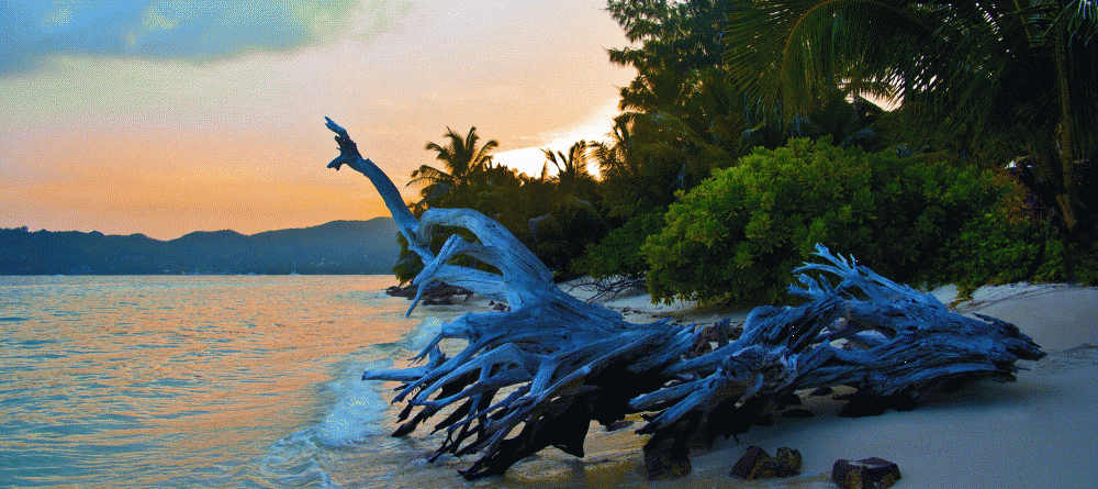The sunset on the beach at New Emerald Cove, Praslin, Seychelles - Image 20