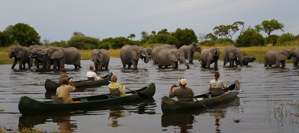 Canoeing with the elephants - Image 13