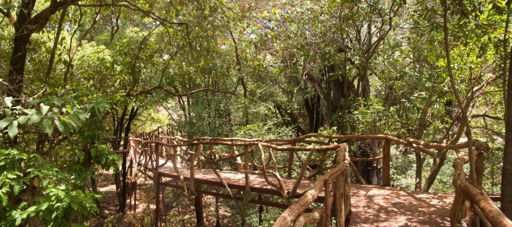 Sarara the Treehouses - Forest Walkways - Image 11