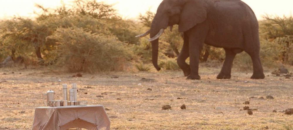 Delta Explorer Campsite, Okavango Delta, Botswana - Image 17