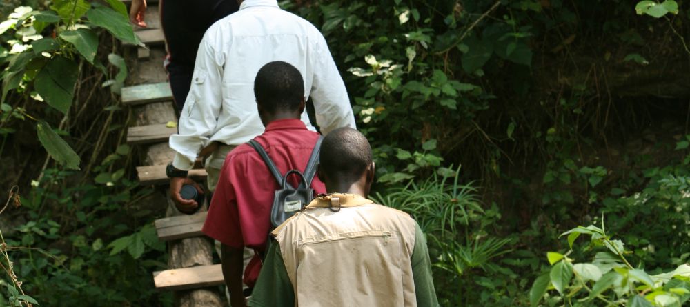 A jungle walk at Gombe Forest Lodge, Gombe National Park, Tanzania - Image 1