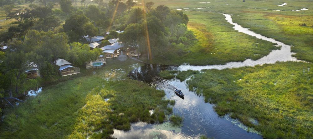 Khwai Leadwood - Image 12