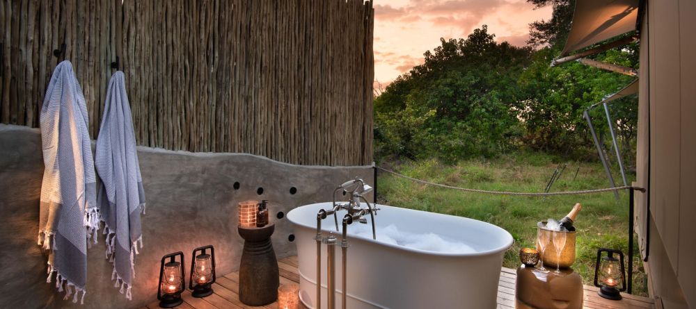 Khwai Leadwood - Image 3