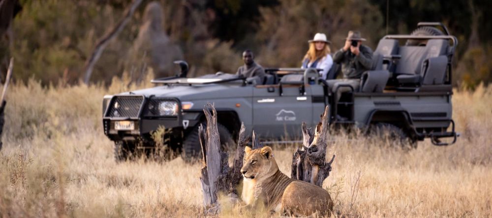 Abu Camp, Okavango Delta, Botswana - Image 14