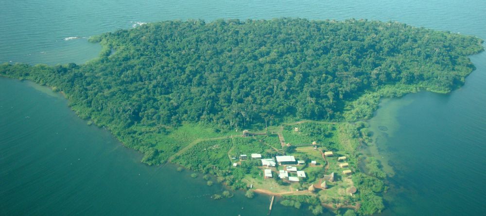 Aerial shot of the island at Ngamba Island Tented Camp, Ngamba Island, Uganda - Image 6