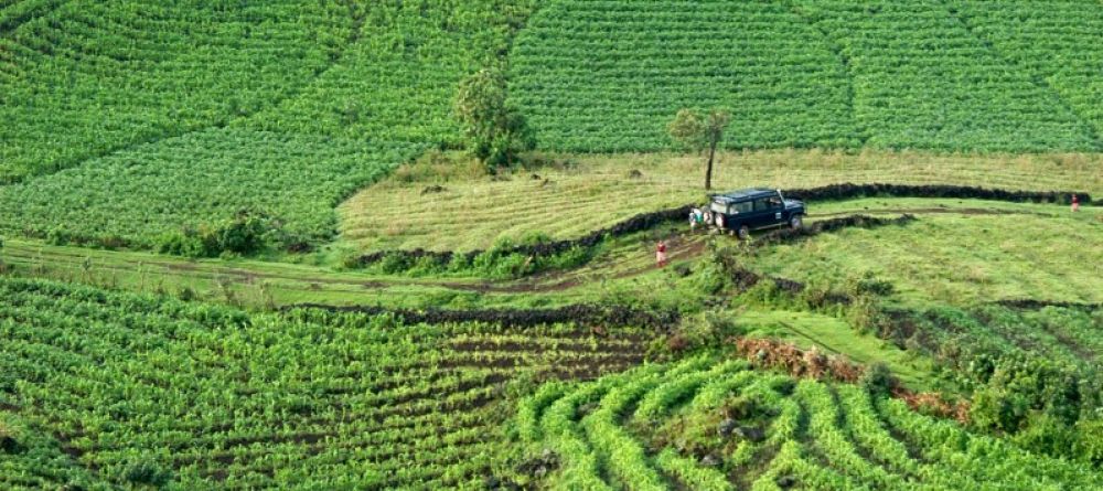 Agriculture at Mount Gahinga Lodge, Mgahinga National Park, Uganda - Image 7