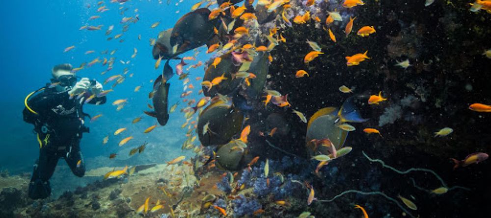 Azura Marlin Beach  - Image 4