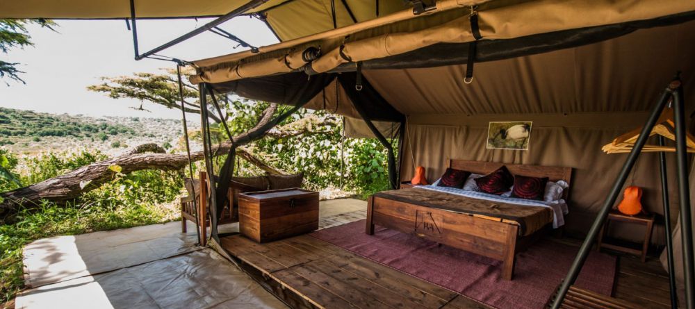 Ang'ata Ngorongoro Crater - Image 4