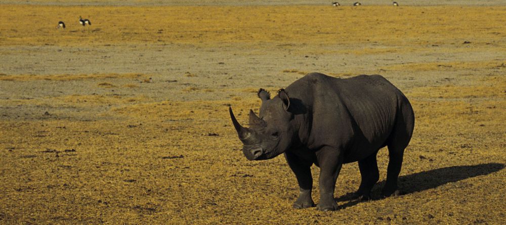Ang'ata Ngorongoro Crater - Image 1