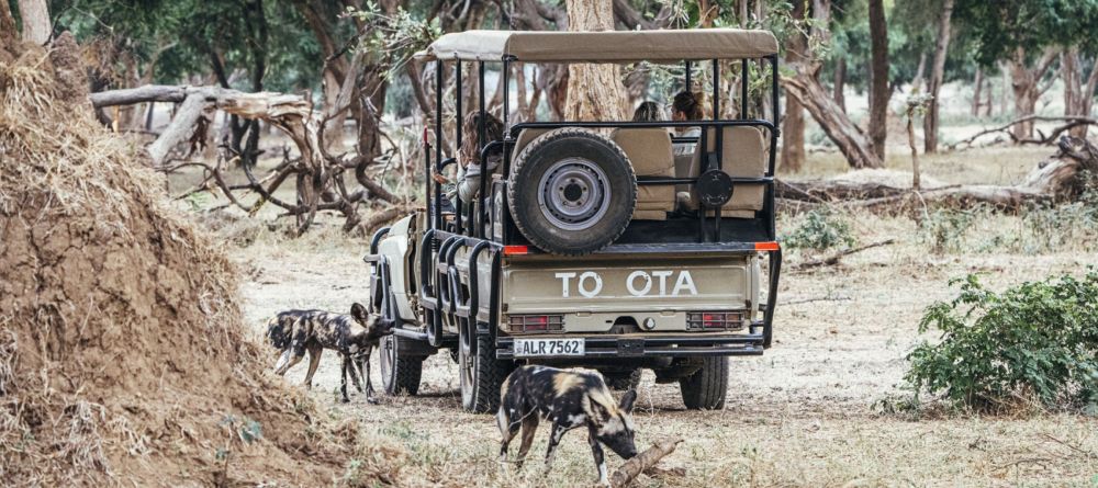 Anabezi Camp - Image 12