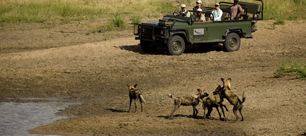 Ngala Safari Lodge, Kruger National Park, South Africa © AndBeyond - Image 4