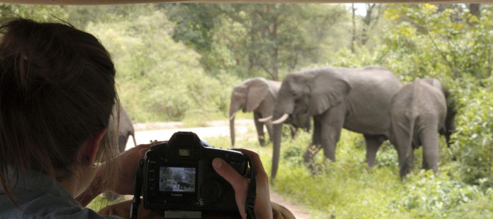 Lake Manyara Tree Lodge, Lake Manyara National Park, Tanzania - Image 6