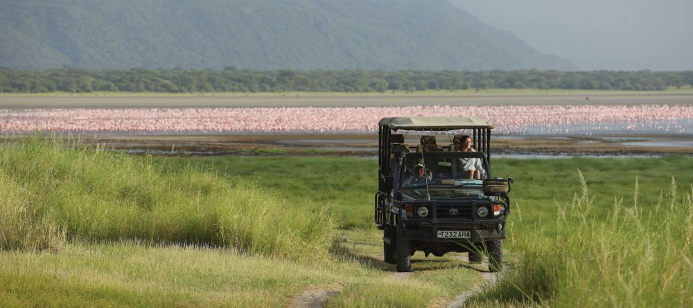 Lake Manyara Tree Lodge, Lake Manyara National Park, Tanzania - Image 4