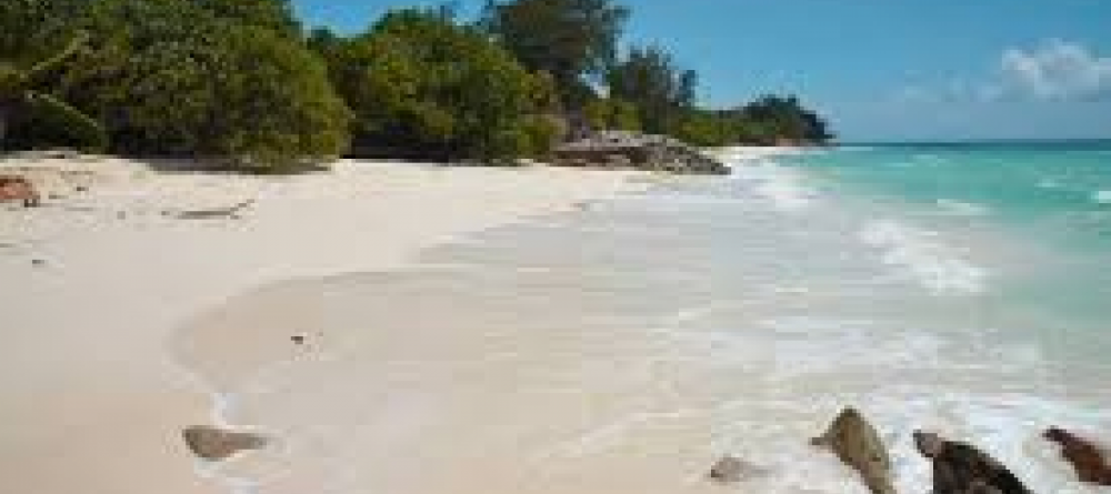 Anse Kerlan - Image 1