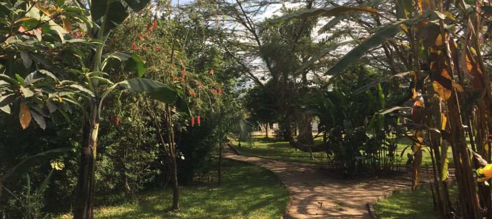 Airport Planet Lodge - Arusha - Image 4