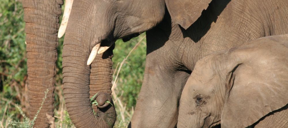 Apoka Safari Lodge, Kidepo Valley National Park, Uganda - Image 5