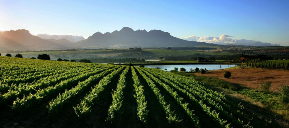Asara Wine Estate & Hotel - Image 3