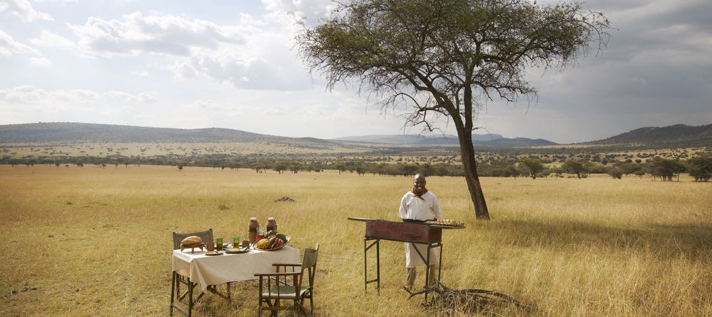 Bush breakfast at Dunia Camp, Serengeti National Park, Tanzania - Image 4