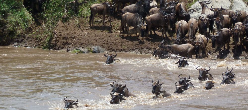 River Crossing - Image 3