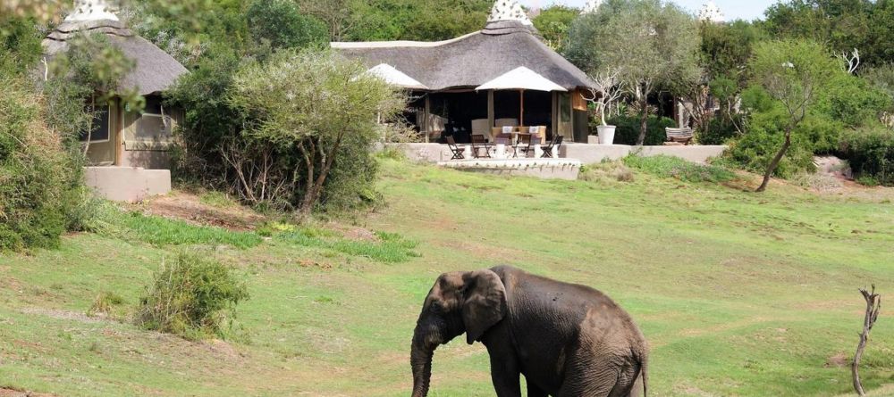 Amakhala Safari Lodge  - Image 1