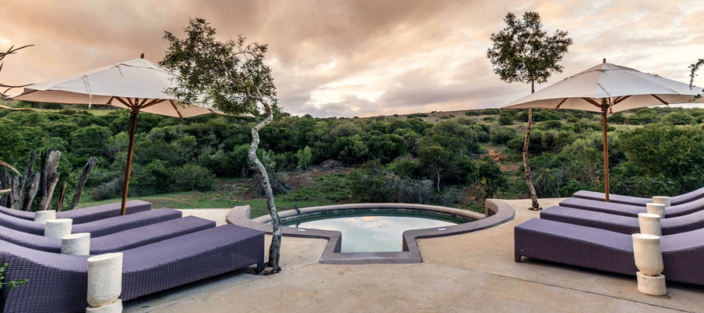 Amakhala Safari Lodge  - Image 4