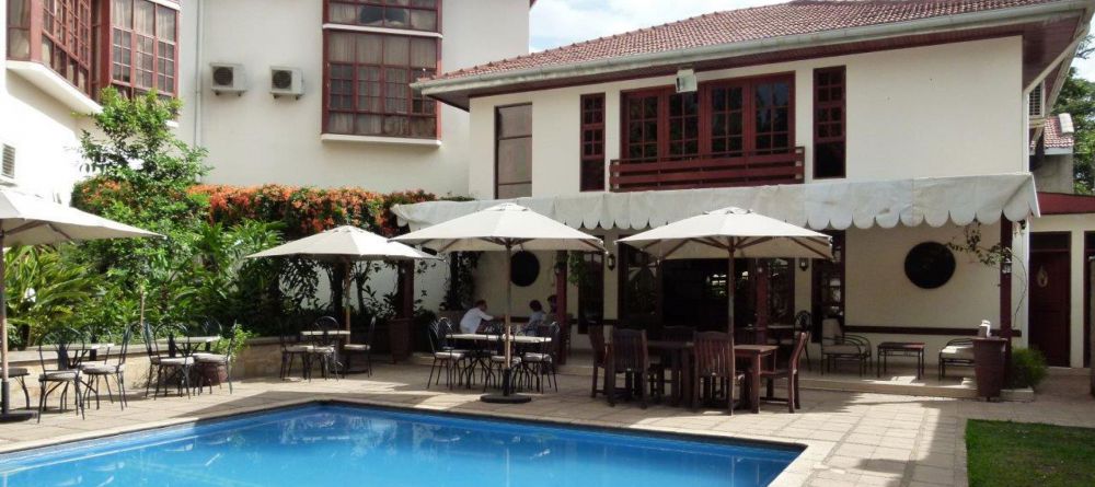 African Tulip - Image 3