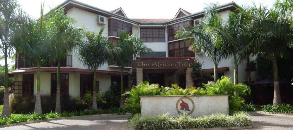 African Tulip - Image 2