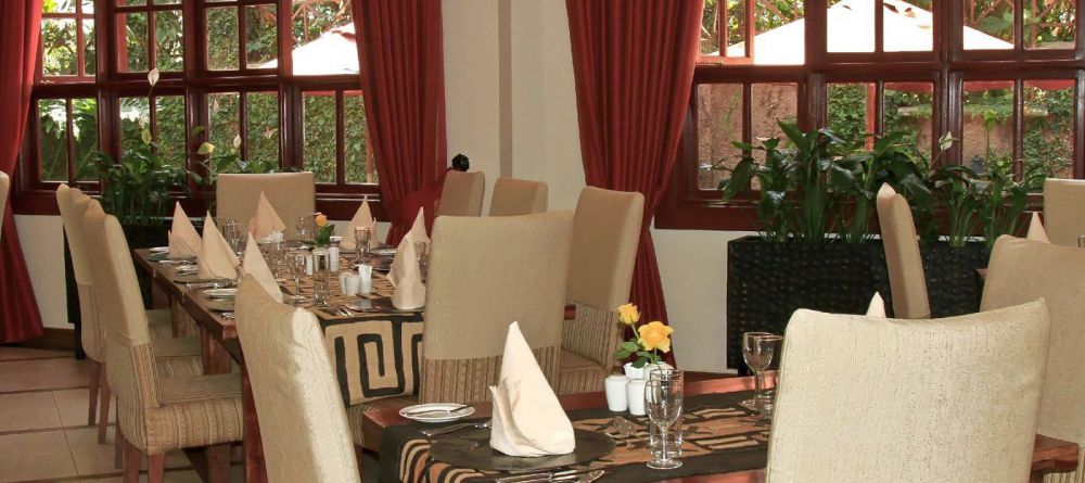 African Tulip - Image 1