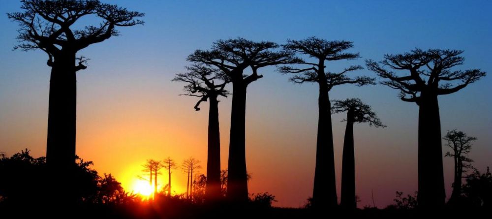 Gite de Kirindy, Kirindy National Park, Madagascar - Image 1