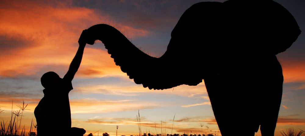 Baines Camp, Moremi Game Reserve, Botswana - Image 14