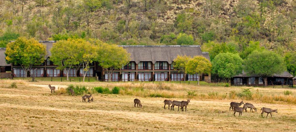 Bakubung Bush Lodge - Image 3