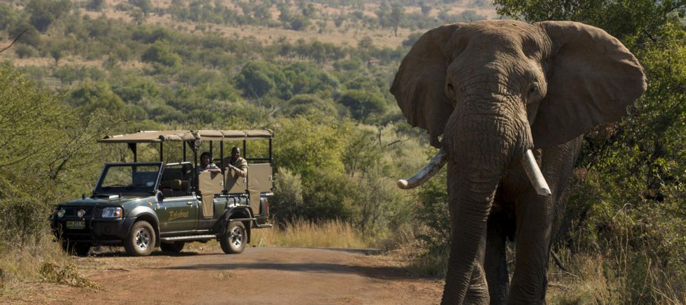 Bakubung Bush Lodge - Image 4