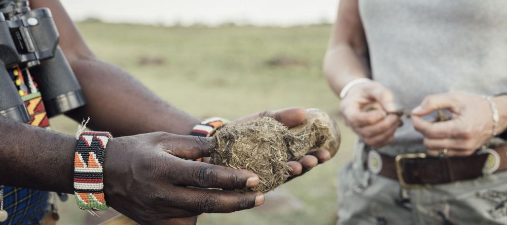 Tangulia Mara Camp, Masai Mara, Kenya - Image 14