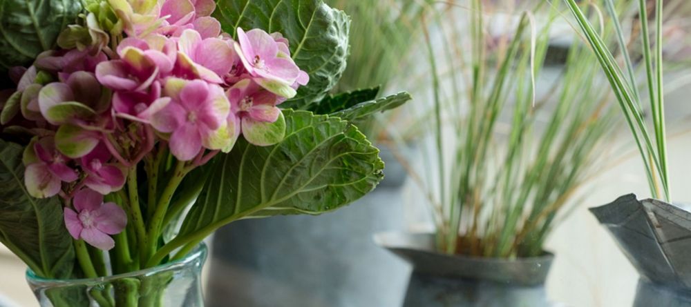 Blues and Chutney, Arusha, Tanzania - Mango Staff photo - Image 6