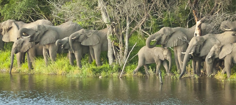 Thula Thula Safari Lodge, Thula Thula Game Reserve, South Africa - Image 7