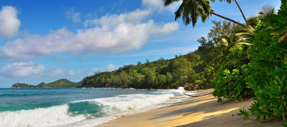 Mahe beach - Image 3