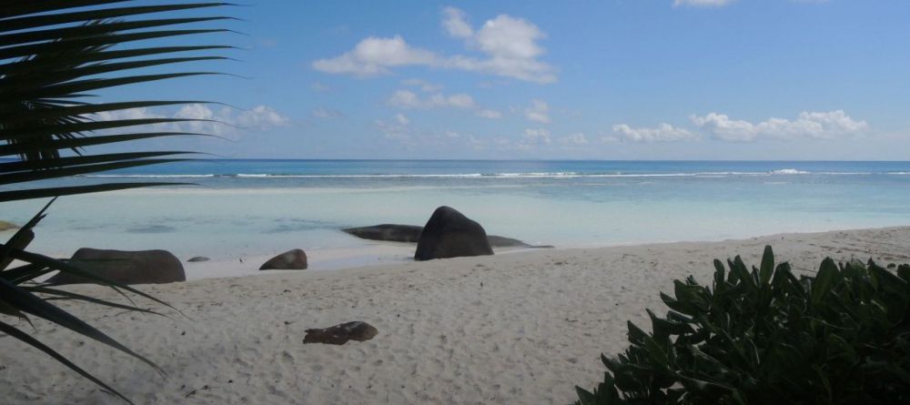 La Belle Tortue - Image 5