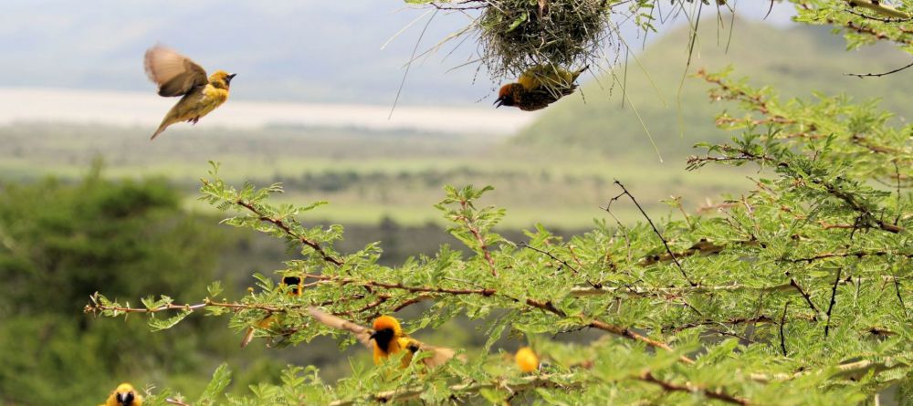 Sleeping Warrior Lodge - Image 3