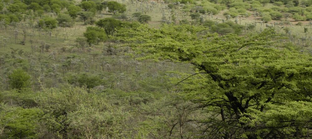 Bird watching at Serena Serengeti Safari Lodge, Serengeti National Park, Tanzania - Image 12