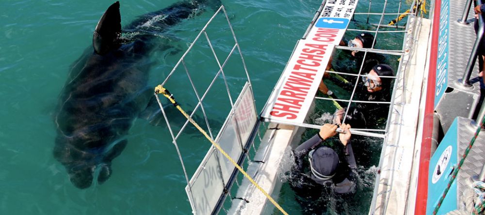 Birkenhead House, Hermanus, Western Cape, South Africa - Image 19