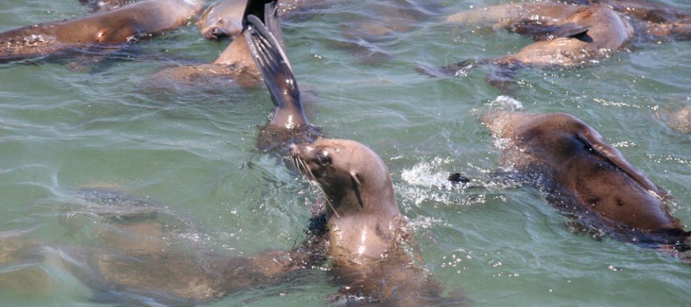 Birkenhead House, Hermanus, Western Cape, South Africa - Image 20