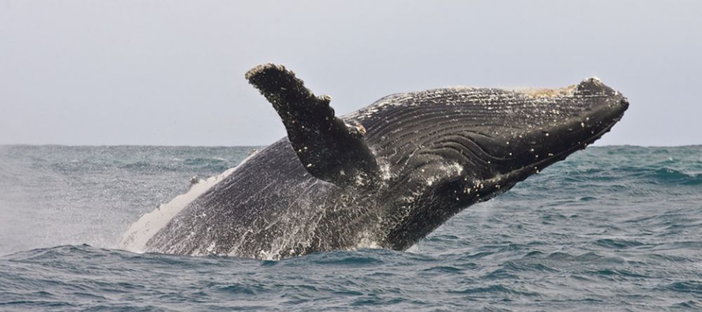 Birkenhead House, Hermanus, Western Cape, South Africa - Image 4