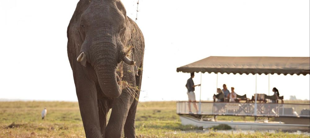 Boat cruise viewing - Image 12