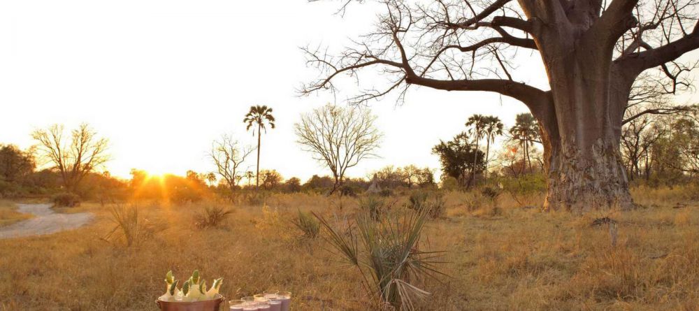 Delta Explorer Campsite, Okavango Delta, Botswana - Image 9