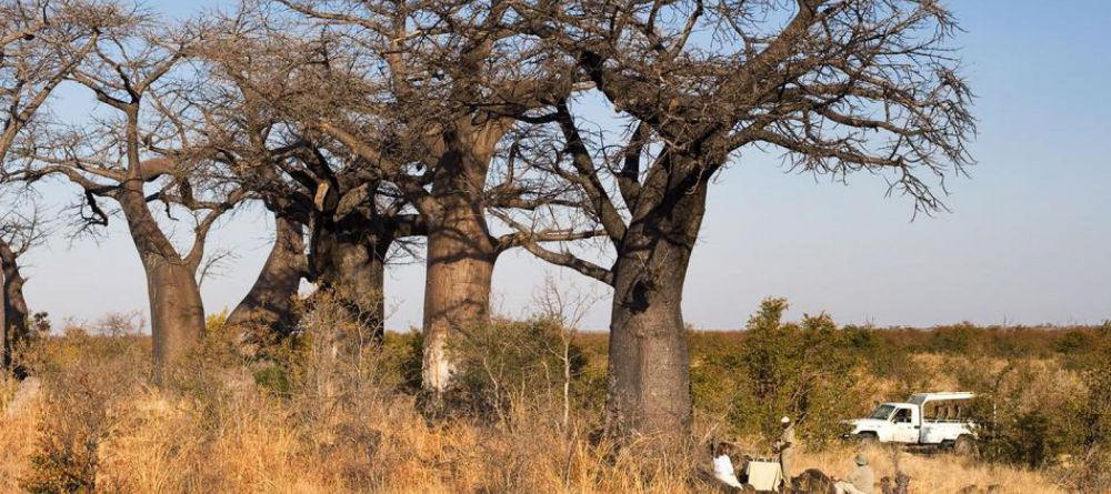Delta Explorer Campsite, Okavango Delta, Botswana - Image 13