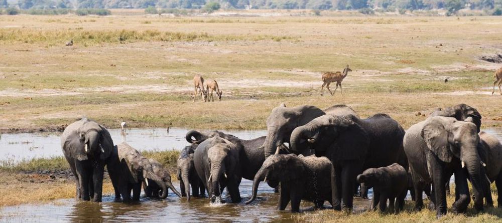 Delta Explorer Campsite, Okavango Delta, Botswana - Image 12
