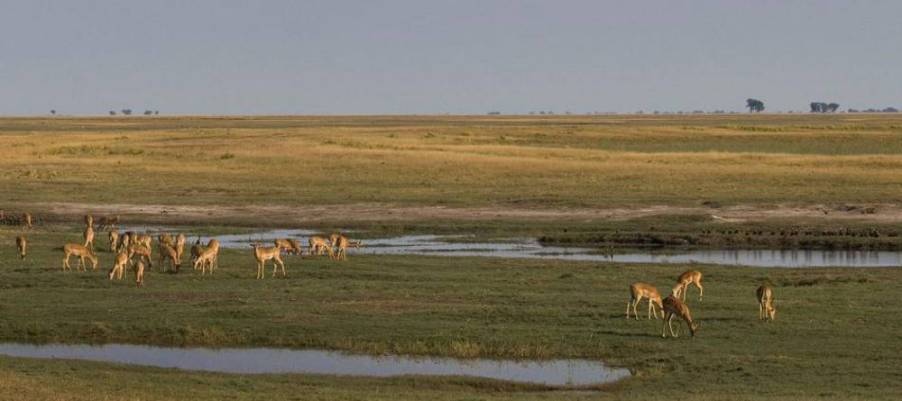 Delta Explorer Campsite, Okavango Delta, Botswana - Image 28