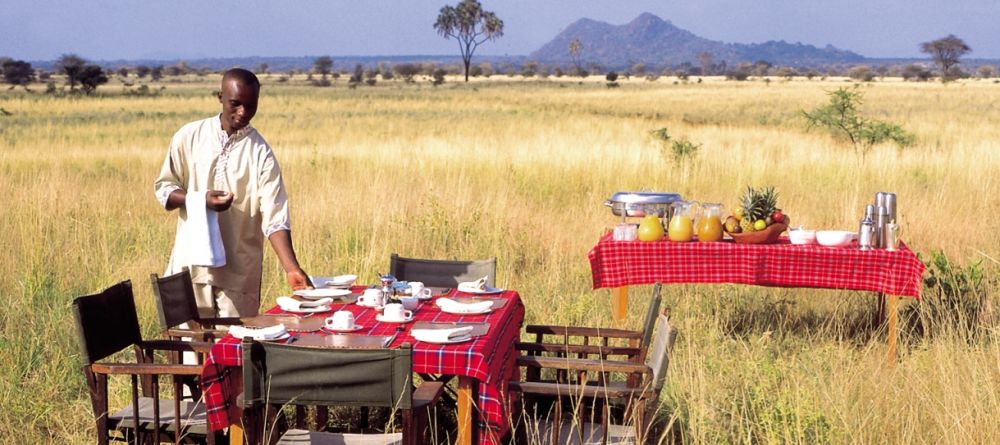 Bush breakfast- Elsas Kopje, Meru National Park, Kenya - Image 9