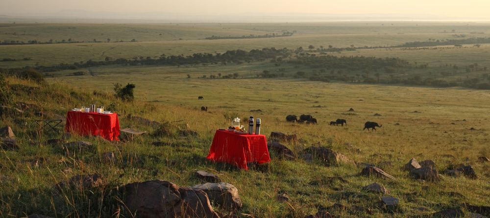 Breakfast in the bush at Naibor Camp, Masai Mara National Reserve, Kenya - Image 1